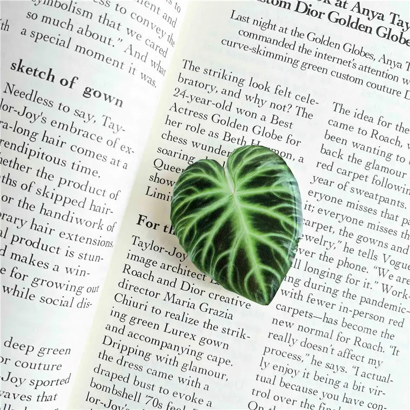 Tropical Rare Leaf Multi-Functional Phone Grip & Kickstand